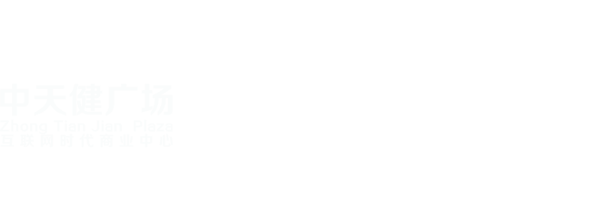 中天健集团